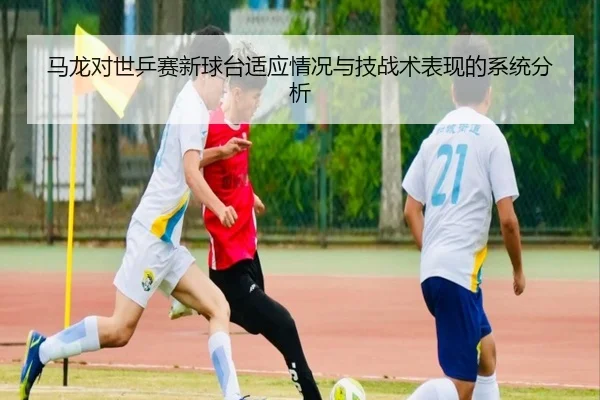 马龙对世乒赛新球台适应情况与技战术表现的系统分析（Wanmei）